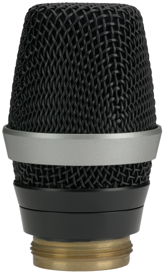 D5 WL1 MICROPHONE HEAD WITH D5 ACOUSTIC